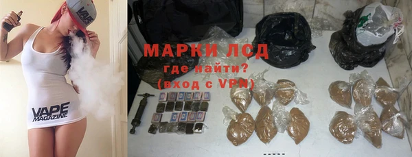 spice Осинники